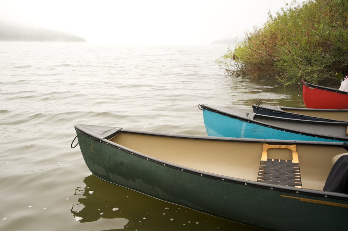 Bring your binoculars during this Canoe the Slough Tour: A Birder's Dream on Sun., April 23! Registration required.
bit.ly/2nyR7Cl