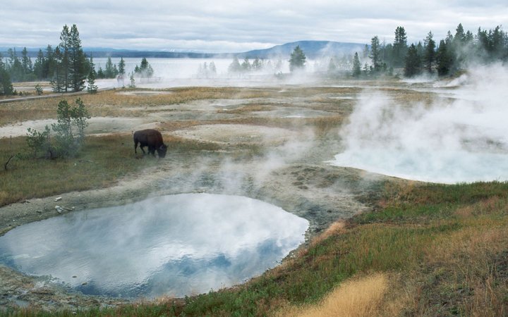 DetoursNV's tweet photo. These are the best #nationalparks if you're looking for #wildlife: https://t.co/mot2G7rnfS https://t.co/GVuPLTdtBx
