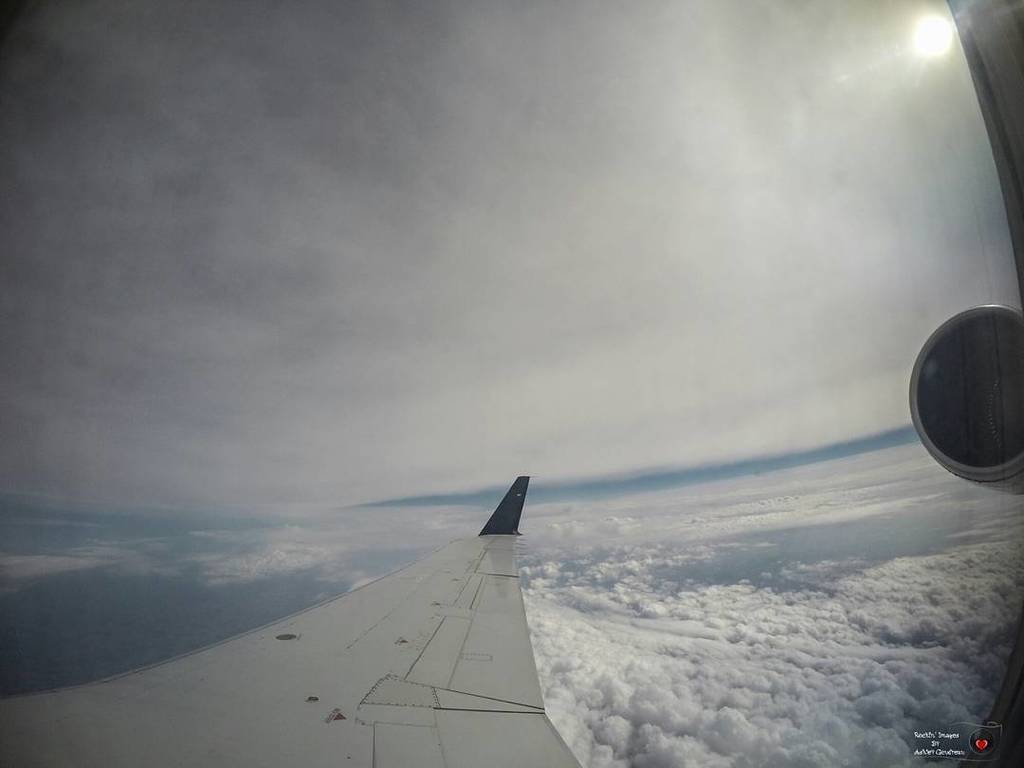 RockinImages's tweet photo. Life from a different perspective ❤
#goprophotography #goprohero4 #sky #flying #airplanewing #lifeabove #beautifu… https://t.co/AQ1TCxpEIN https://t.co/dfZFdi01Mi