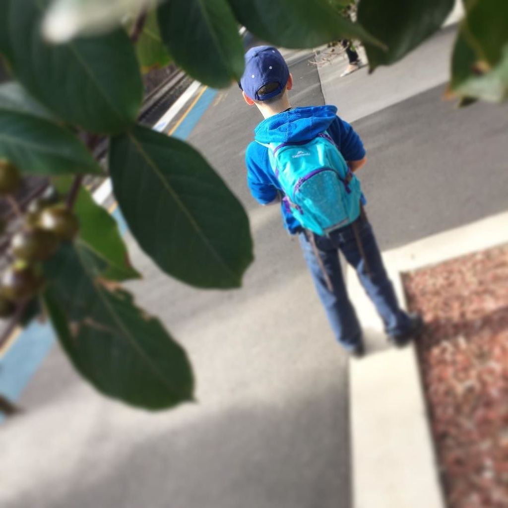 LissBEE_CPSP's tweet photo. My work buddy today #AdventurousCommute #SlowWalkingSpeeds https://t.co/W7oOLL6Dom