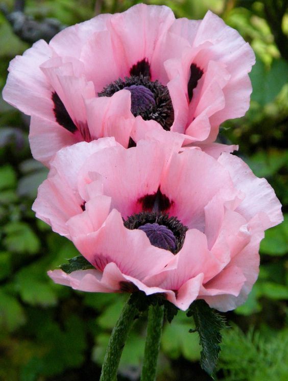 <a href="/cfacid/">Cfacid 🌴🐠</a> @30_isacris <a href="/Fitri34404412/">🌸Fi 🌸3🌸</a> @DaaD01 <a href="/poupouch48/">Vivi</a> <a href="/pure_p4/">maria</a> @missy5914 <a href="/212270Haruto/">🌹mayu™</a> <a href="/kQsWaLkfQVjzxCu/">Надежда</a> @place_jhona @blujayrain