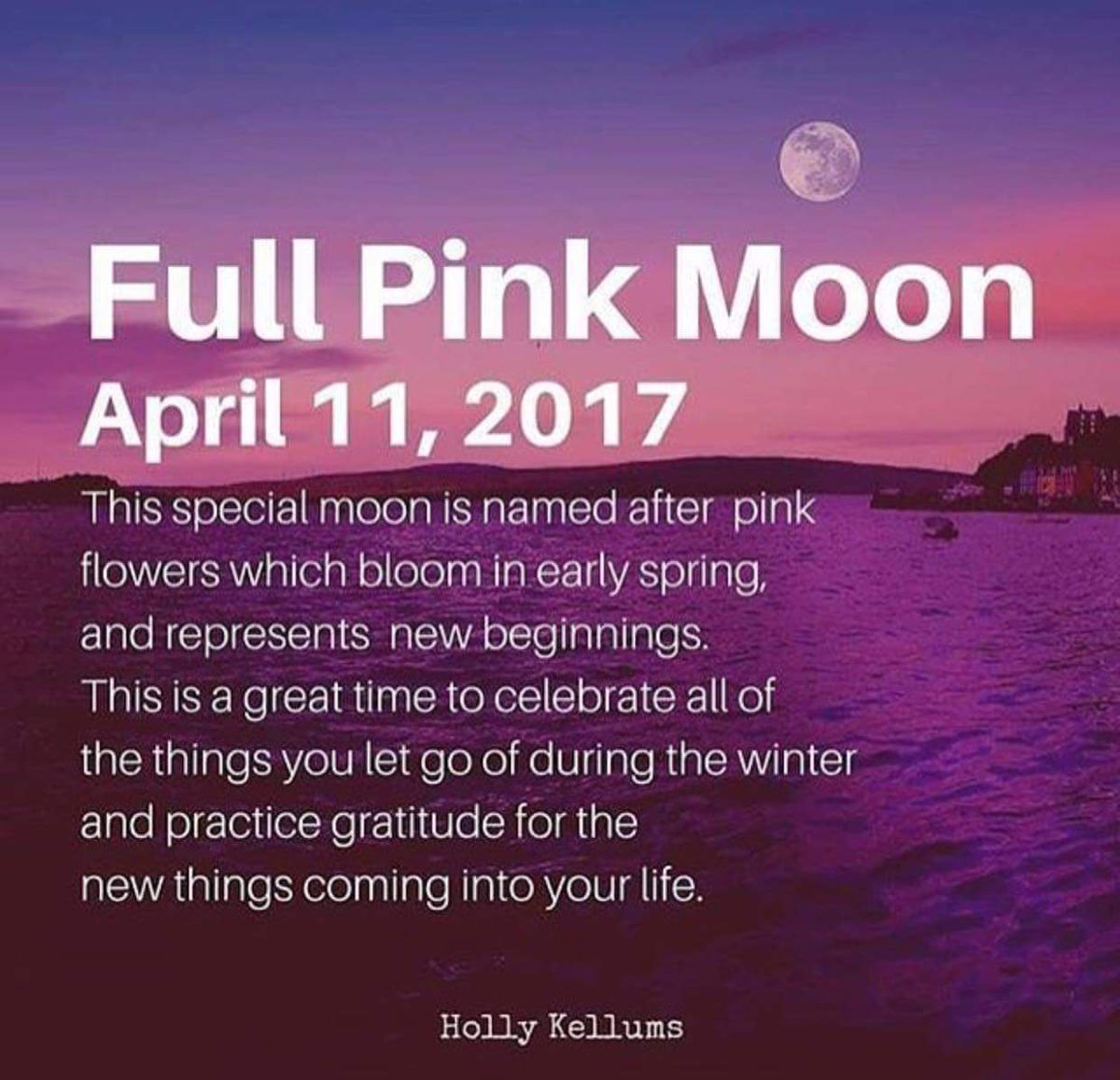 talisman_uk's tweet photo. #gratitude https://t.co/s1nbFiY9lO https://t.co/Mi3rBs197G