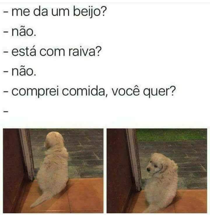 dioclauskt's tweet image. 🙈🙉🙊