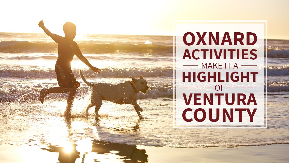 VisitOxnardCA's tweet photo. Uncrowded beaches, watersports, seafood, Oxnard has it ALL! See our favs https://t.co/3aKCb3D3Dj #visitoxnard #beachsidefun #visitcalifornia https://t.co/xAQameAa1z