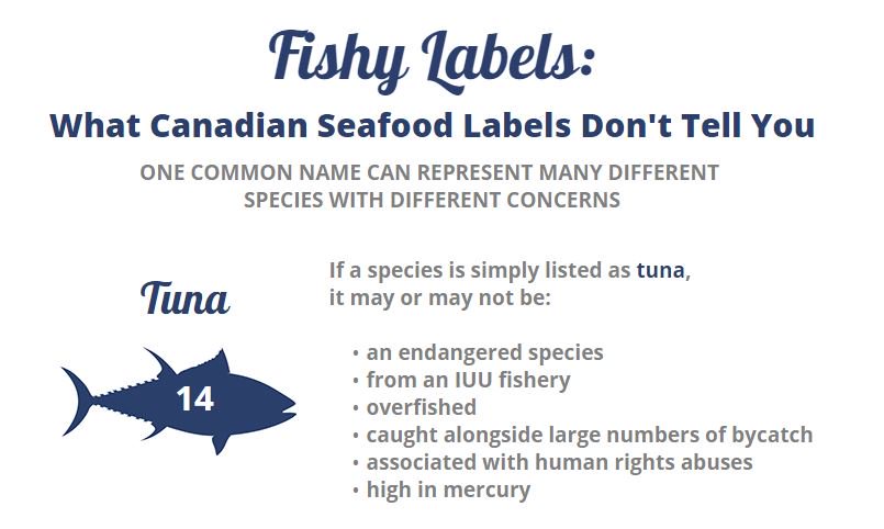 SeaChoice's tweet photo. Visit https://t.co/BgaGPhImnG to read more about #seafood #labelling regulations in Canada. @CFIA_Food @DFO_MPO @HealthCanada https://t.co/36SiRn3rnd