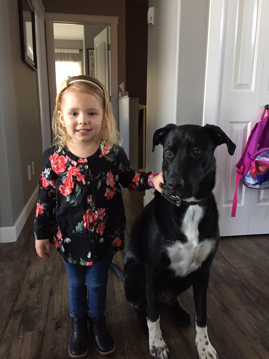 JaydenHeffner's tweet photo. My guard dog! #missingindy https://t.co/PdrCZGsUGg