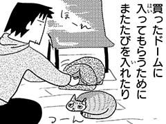 サイコミ Twitterissa 4 11更新情報 ねこはなはなし 第299話 著 夏目義徳 が公開中です サイコミ T Co Xuggqalwc6