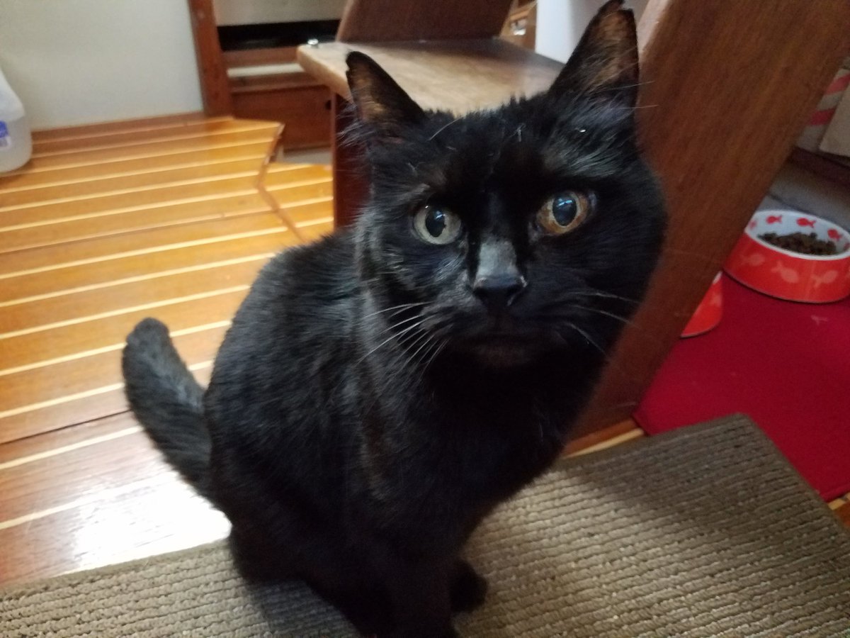 savethechunk's tweet image. Home sweet home!!