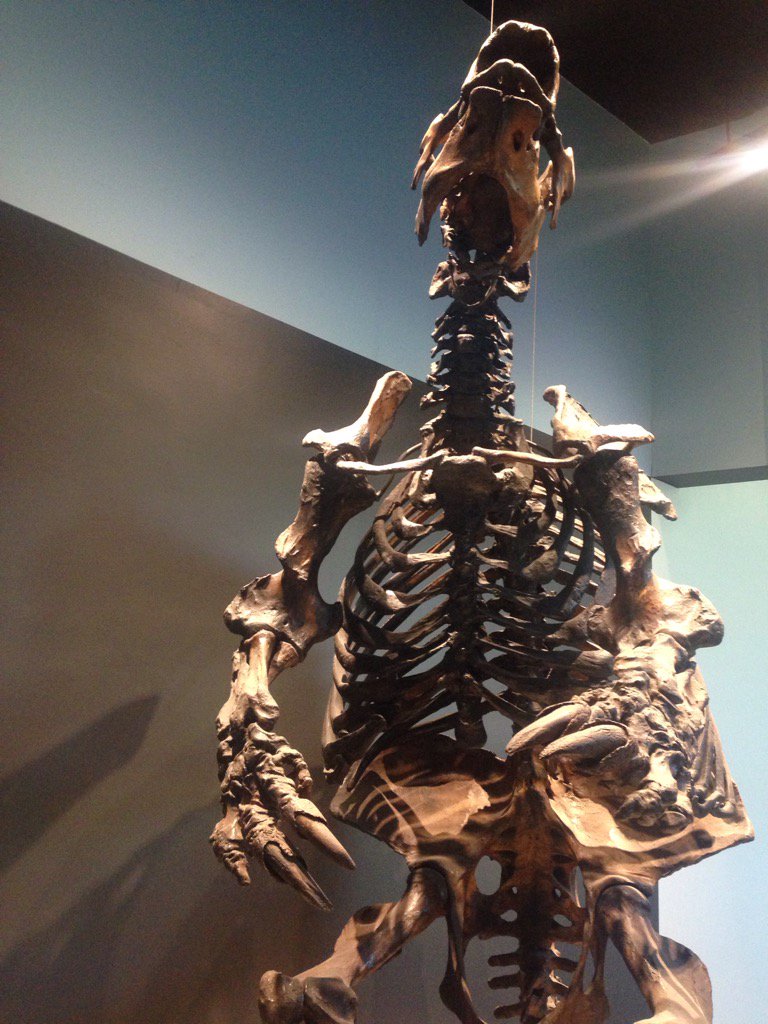 eleekelly's tweet photo. #HowDoYouMuseum #BeastAndBones La Brea Tar Pits https://t.co/1TVkNF6mp3