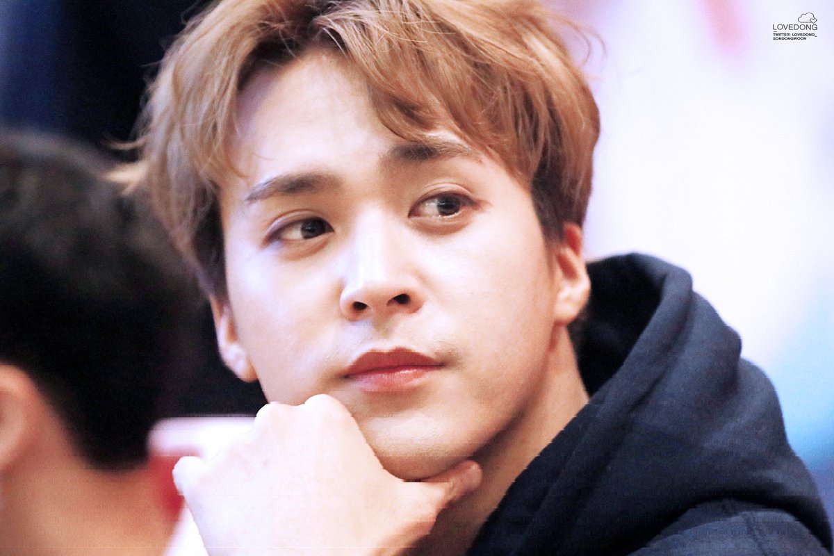 럽 동 tweet media