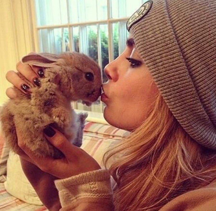 ❝look how cute. it's so cute. i'm keeping it. no one can tell me otherwise.❞