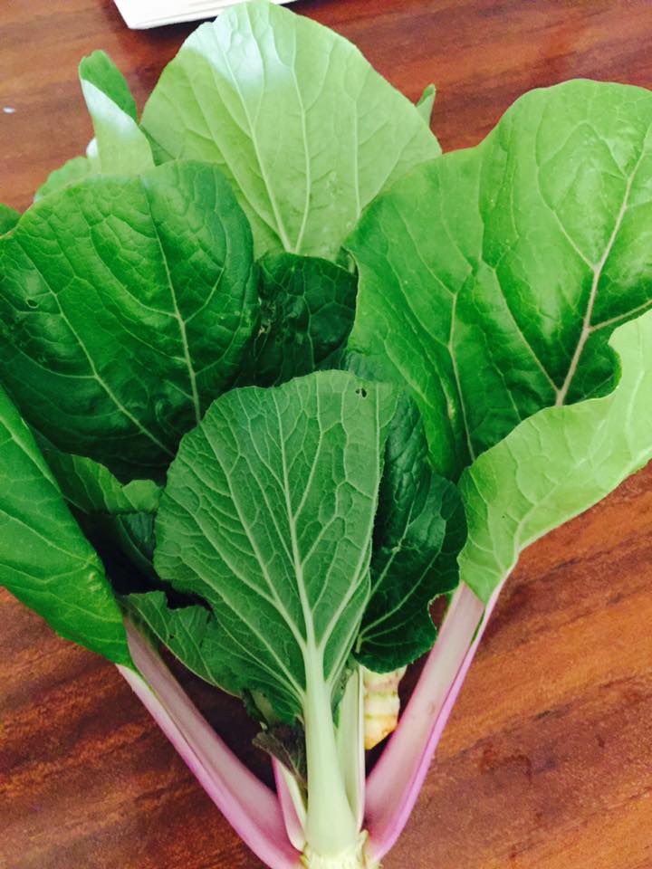 FarmtoTableGuam's tweet photo. We'll have a lot of beautiful greens for sale tonight at Kitchen Lingo, all grown using the #organicmethod. #chard #kale #arugula #bokchoy https://t.co/GxWIRTtdc6
