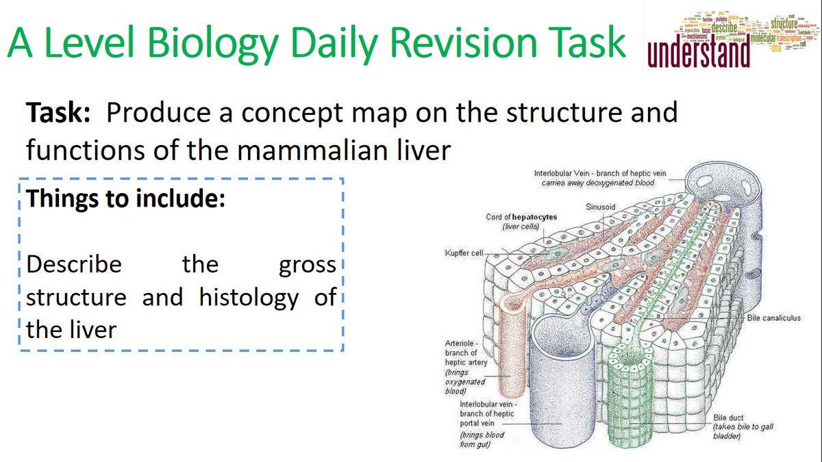 teacherchalky1's tweet photo. A Level Biology Daily Revision Tasks Catch-up

#ukedchat #ocr #biology #revision #alevel #asechat #sunchat #ittchat #nqtchat #aussieED https://t.co/UeYs5DDtwU