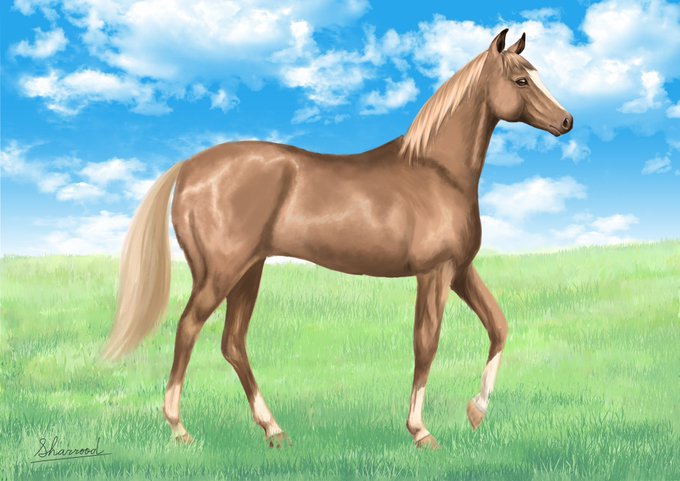 馬の絵のtwitterイラスト検索結果 古い順 馬の絵のtwitterイラスト検索結果 古い順