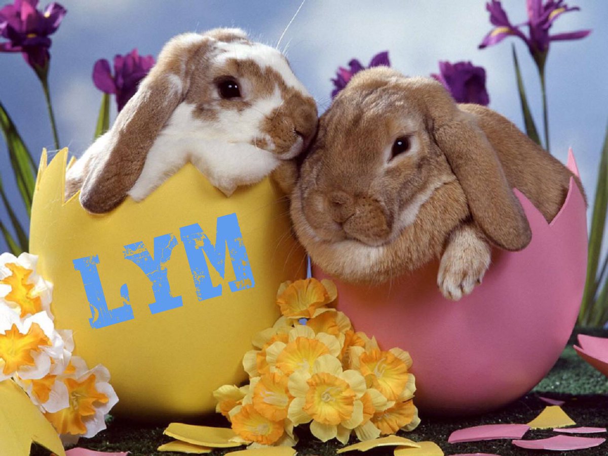 CSULBLYMCREW's tweet photo. Hi Melonheads! With Easter coming up, we will be having a surprise giveaway this week on campus! Stay tuned for more details! 🌷💐🐰🐣 https://t.co/U6uDxVx7Lp