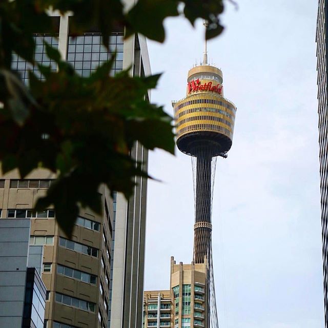 realwadescalez's tweet photo. Reposting @sydneytowerbuffet: @catherineheu
#instagood #photooftheday #instadaily #potd #love #sydney #australia https://t.co/rTUIbKPVcc