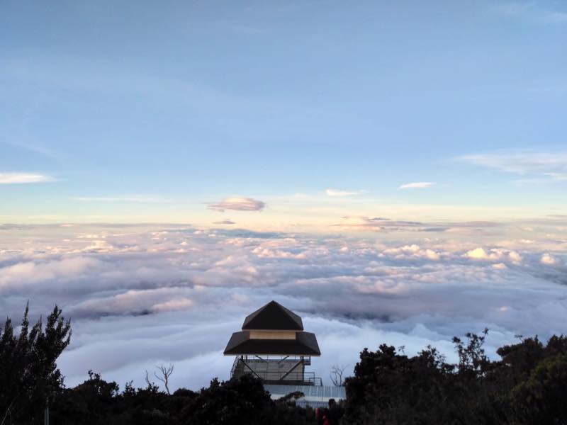borneo_calling's tweet photo. Good morning! Woke up above the clouds today.βοΈβοΈ #MountKinabalu #BorneoCalling #Sabah #Borneo #SummitHike #VisitSabah https://t.co/7mg4i2uaIw