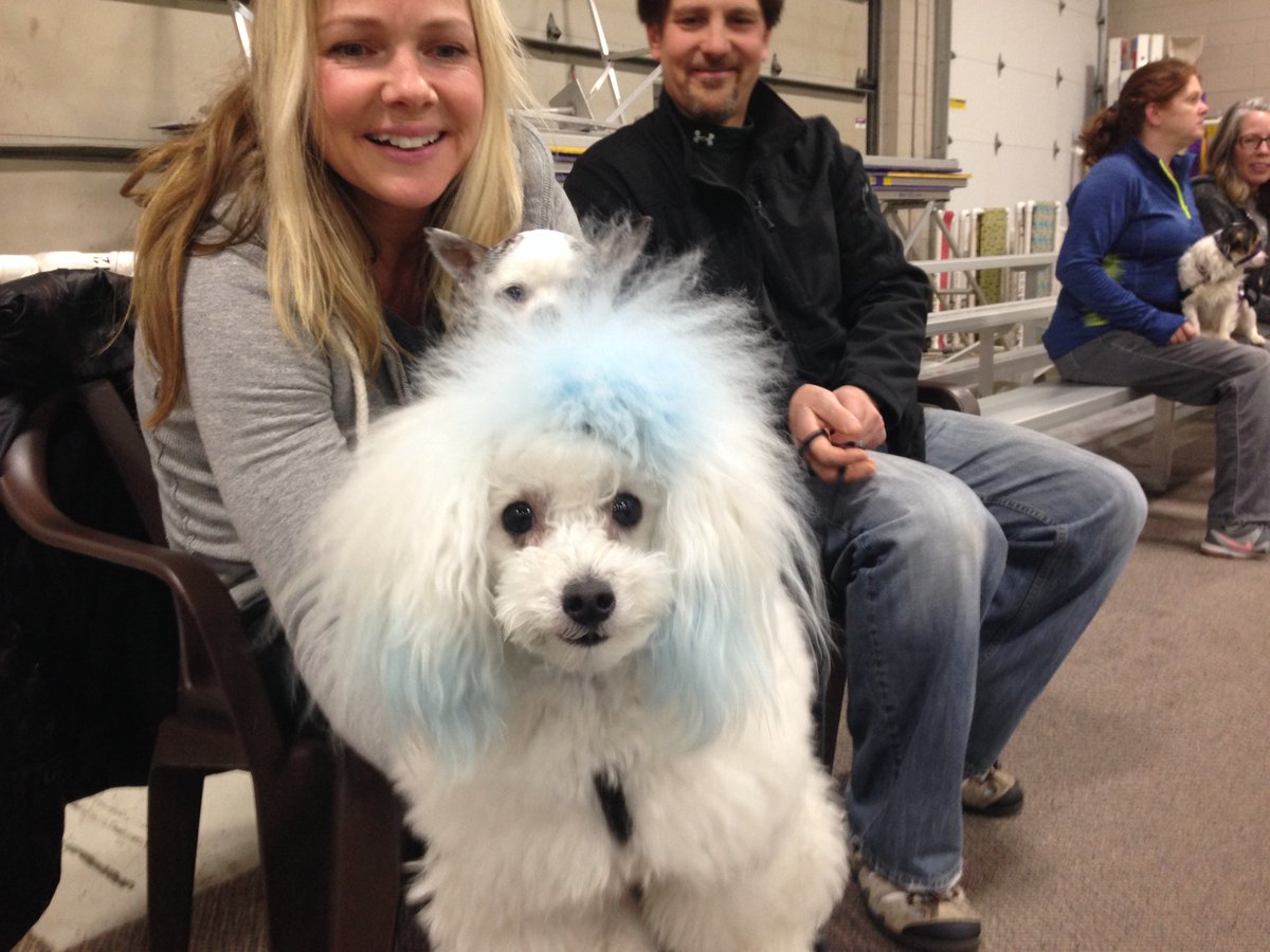 Think Pawsitive tweet media