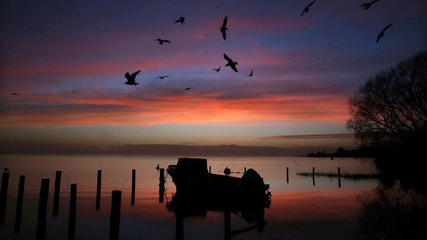 Ngai Tahu victory will restrict land disturbance at significant Maori sites dlvr.it/Ns5zBb