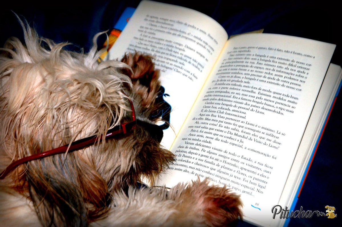 MassoniWM's tweet image. Você termina de ler um parágrafo, ai tem que ler de novo porque estava viajando em outra dimensão.