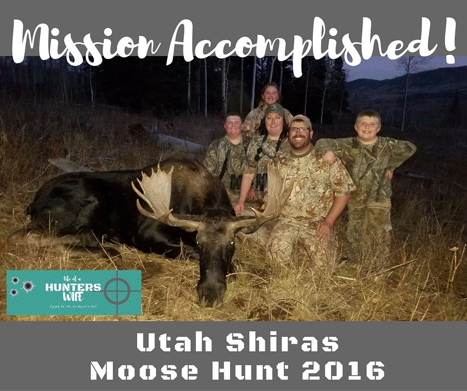 hunterwifeslife's tweet image. Moose...it's whats for dinner!  Moose lo mein for #MooseMonday #eatwhatyouhunt  #HeavyPacksAndSoreBacks #motivationmonday #hunting