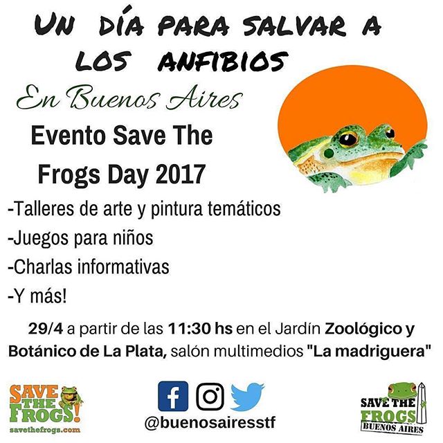 savethefrogs's tweet photo. #Repost @buenosairesstf ・・・ #SaveTheFrogs #SaveTheFrogsBuenosAires #SaveTheFrogsDay #stfday #amphibians #ecology #conservation #frogs #rana https://t.co/QGQlIKBCeQ