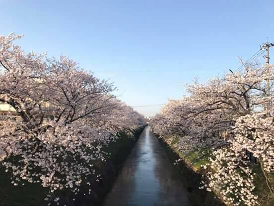 Marinihei1102's tweet photo. Tokyo @Marinihei1102 @CambalMilagros https://t.co/2WPwk8C95b