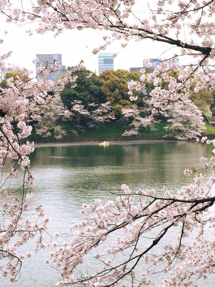 Marinihei1102's tweet photo. Tokyo @Marinihei1102 @CambalMilagros https://t.co/2WPwk8C95b
