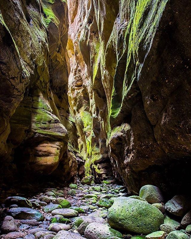 ✨It's a pearler of a day in #thisisqueensland!