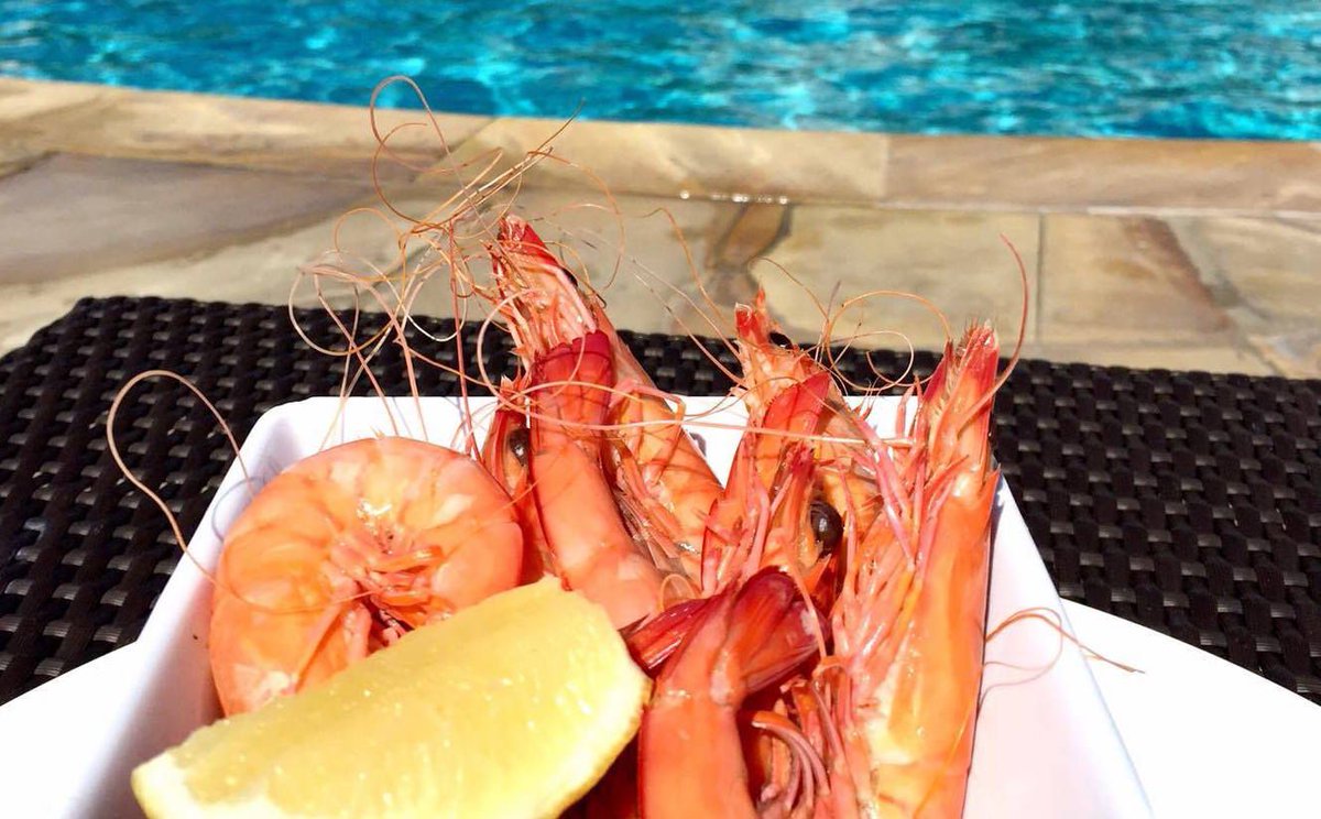 NEW ON THE BLOG: Why you'll love Sofitel Noosa Pacific Resort bit.ly/2oYBQqG <a href="/sunshinecoastoz/">Visit Sunshine Coast</a> #visitnoosa