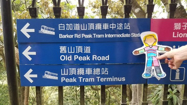 dseiggel's tweet photo. Flat Charlotte made it to Hong Kong! She climbed Victoria Peak with her friends today. @scampbellkenny https://t.co/aYgqAwDvf0