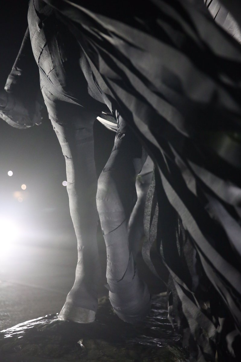 TexasTech's tweet photo. .@SaddleTrampsTTU wrapped Will Rogers and Soapsuds in black tonight in tribute to former @TexasTechFB Coach Spike Dykes. https://t.co/mSpi14H8CW