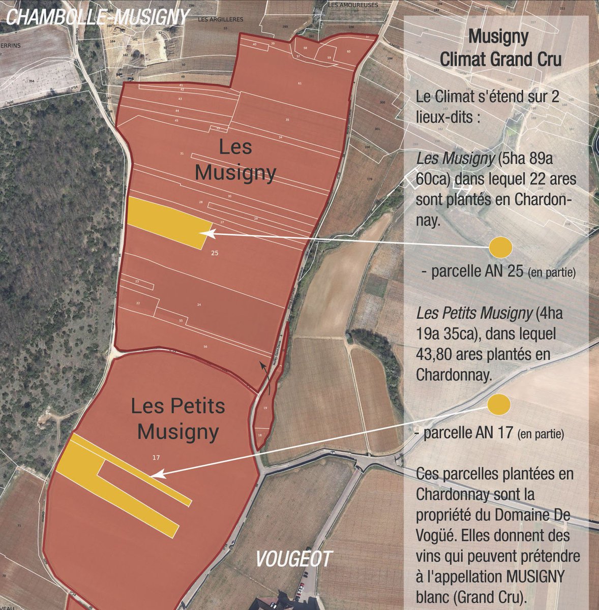 #chambolle #musigny Rencontre au Domaine de Voguë viavinea.com/domaine-comte-…