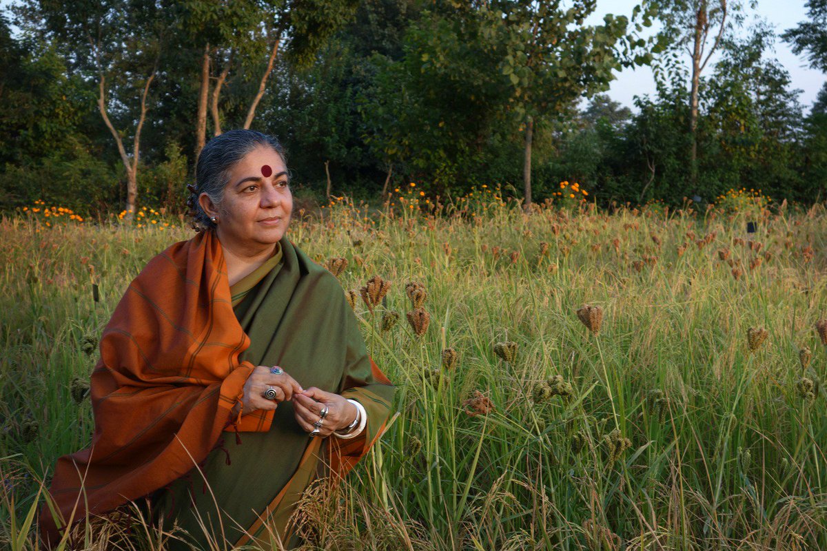 Bertha DocHouse (@berthadochouse) on Twitter photo Missed <a href="/Seed_TheMovie/">SEED: Untold Story</a> at DocHouse last year?
You're in luck - the environmental doc returns on Monday as part of @wefeedtheworld_. Last remaining tickets at bit.ly/SeedQA. Missed <a href="/Seed_TheMovie/">SEED: Untold Story</a> at DocHouse last year?
You're in luck - the environmental doc returns on Monday as part of @wefeedtheworld_. Last remaining tickets at bit.ly/SeedQA.