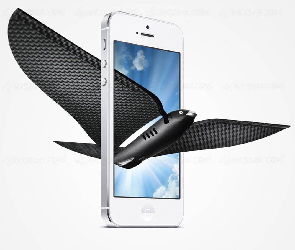 startup_nest's tweet image. Start-up #5 : On s&apos;envole avec l&apos;oiseau connecté de @mybionicbird au #StartUpNest ! #drone #innovation
