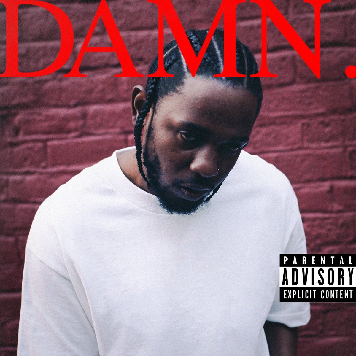 Image result for damn kendrick lamar cover