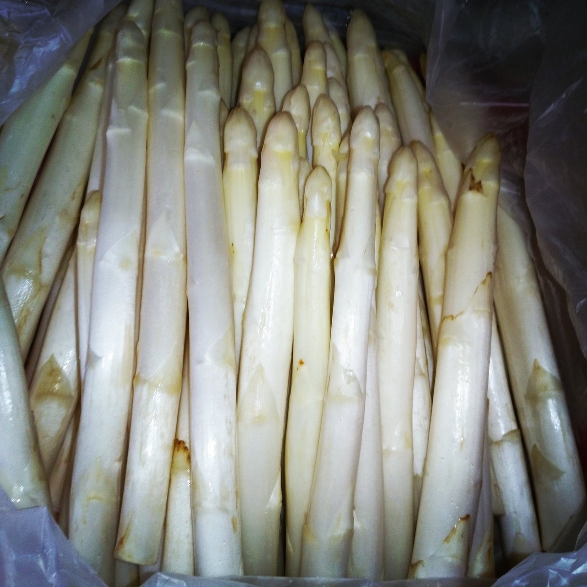 Cuciaroepiron's tweet photo. #asparagidibassano..  con #uovasode.. Piatto speciale @bassanodelgrappa @2_Chiacchiere @Cucina_Naturale https://t.co/dANRdnKA0r https://t.co/GwgWmaE5mC