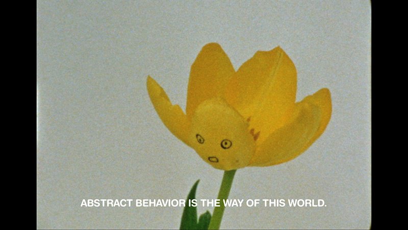 LUXmovingimage's tweet photo. #Egyptian artist Basim Magdy screens his 2014 film trilogy + earlier short works @ICALondon 15 Apr
#ArtistsFilmClub https://t.co/AzrVWw6dfP https://t.co/b7yNU2Hyc8