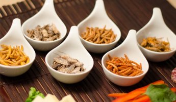 Why You Should Be #Eating #Insects - High #Protein, #LowFat and Rich in #Iron mjm.ag/2o2zRRQ