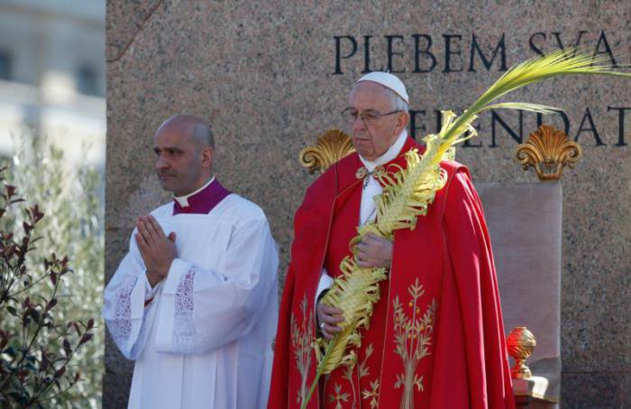 Missed it? Love Jesus in all who suffer, pope says on Palm Sunday dlvr.it/Ns8w7s #Catholic