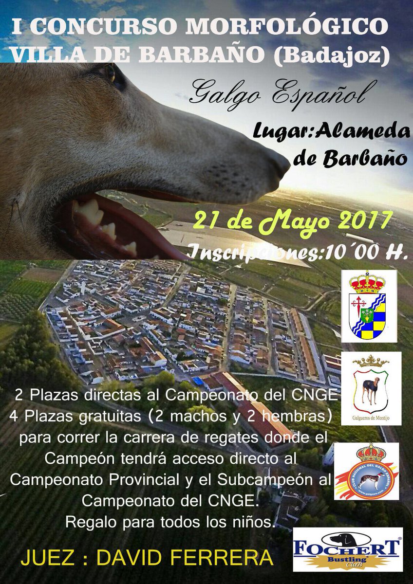 AGENDA #Extremadura #Badajoz 21 mayo: Concurso morfológico del #Galgo Español 'Villa de #Barbaño': goo.gl/g410ay <a href="/CNGE1/">CNGE</a> <a href="/FEGalgos/">FedeGalgos Española</a>
