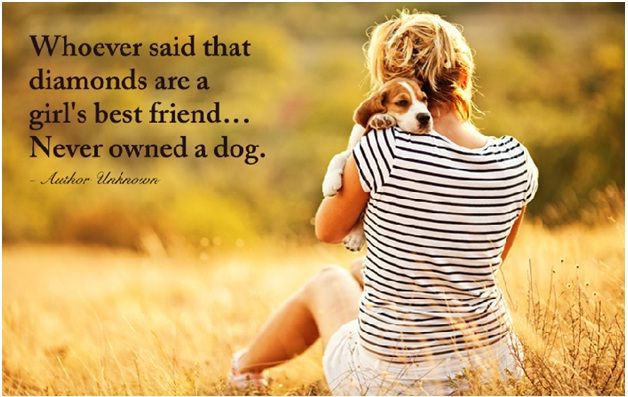 werindia's tweet photo. Influence of Pets on #HumansHealth https://t.co/4S4bxiYxoK #HealthyLife #WeRIndia https://t.co/El6y21fWzS