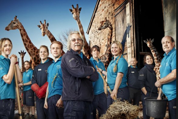 LinklineCrew's tweet photo. #chrishallum #cameraoperator @LinklineCrew @blastfilms for @channel4 #secretlifeofthezoo - baby #elephant born today #zoolife @chesterzoo https://t.co/X3oSEkH41i