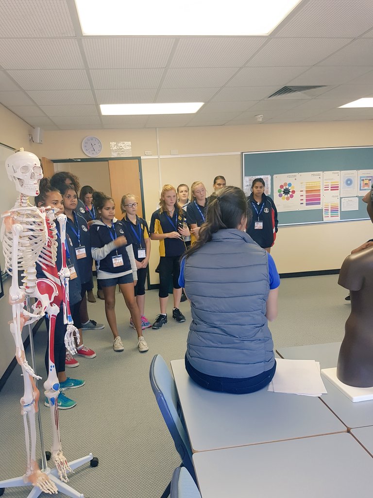 danni_dries's tweet photo. Such a great day with all the Indigenous highschool students from SA learning about #humanbody and health. #healthcareers #SolidStart2017 https://t.co/6npjoY4XRR