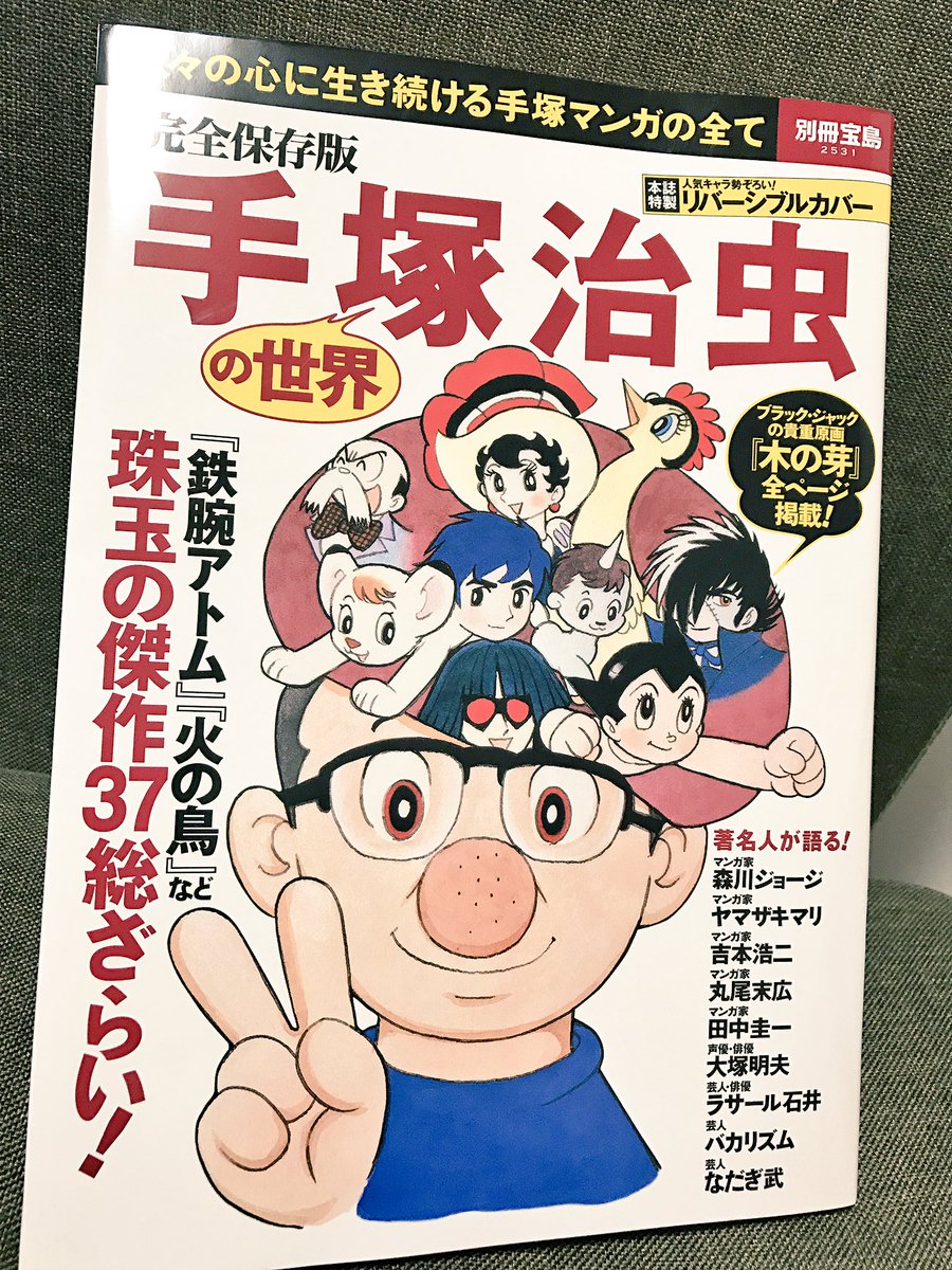 偶然本屋で見つけて買ったんですけど、めちゃくちゃお宝本でした…1話丸ごと原画のコピーやばいです。修正液の跡やベタのムラまでわかる。大塚さんのインタビューも! 