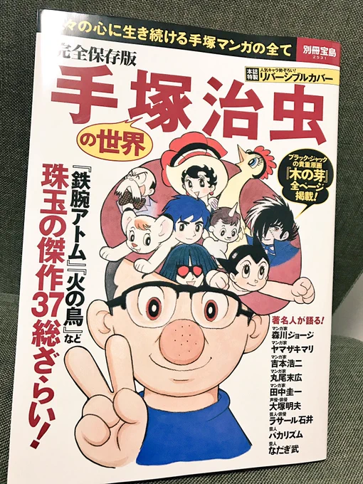 偶然本屋で見つけて買ったんですけど、めちゃくちゃお宝本でした…1話丸ごと原画のコピーやばいです。修正液の跡やベタのムラまでわかる。大塚さんのインタビューも! 