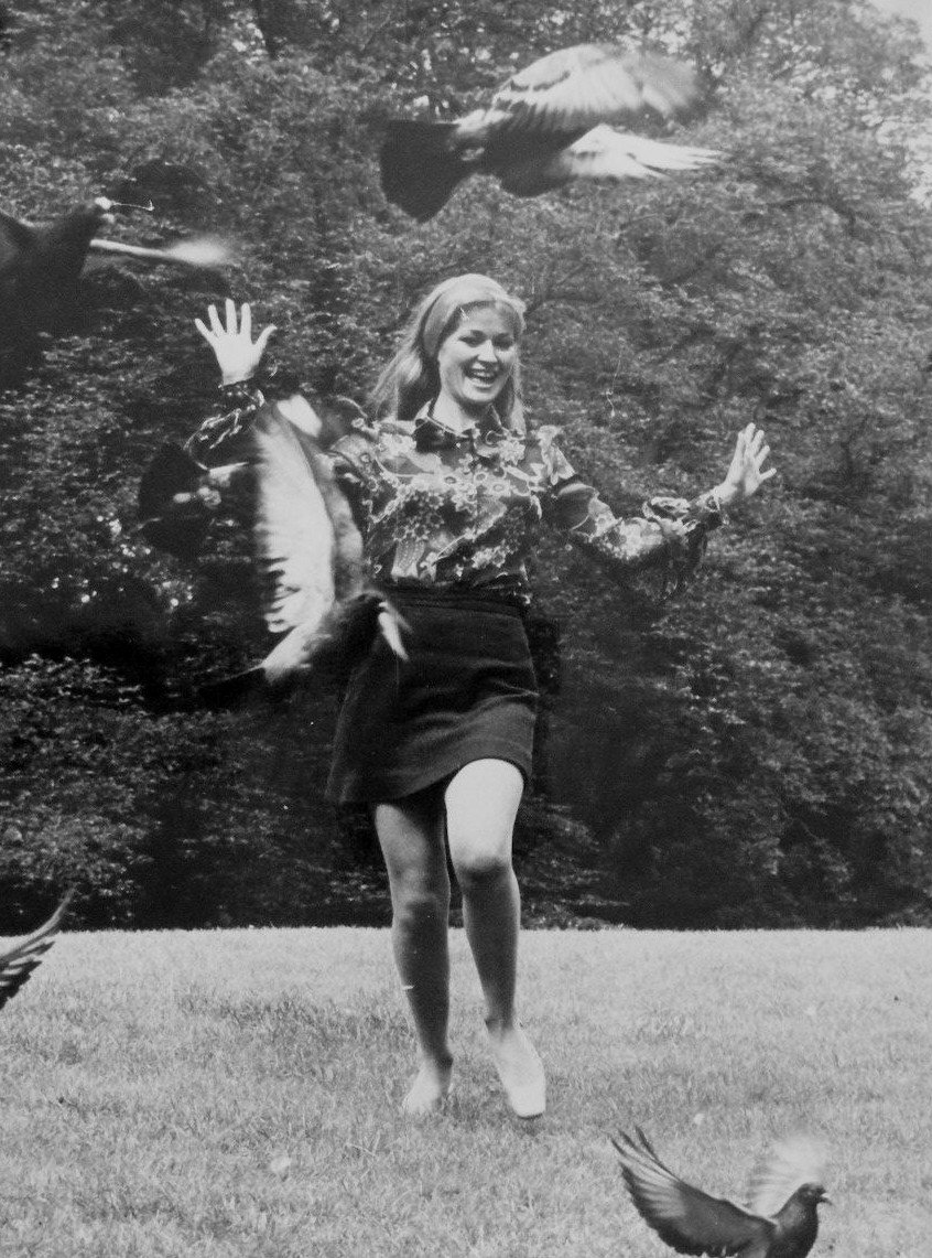 pifconoma's tweet photo. Stephanie Beacham menaced by pigeons #StephanieBeacham #SableColby #youcantellshedoesntlikethem #pigeonattack 😄🕊️🕊️🕊️ https://t.co/hvnJVVEuV6