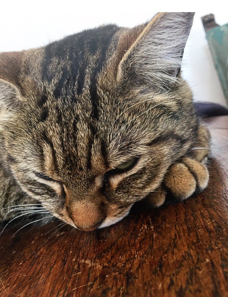 Marie Caprl tweet media