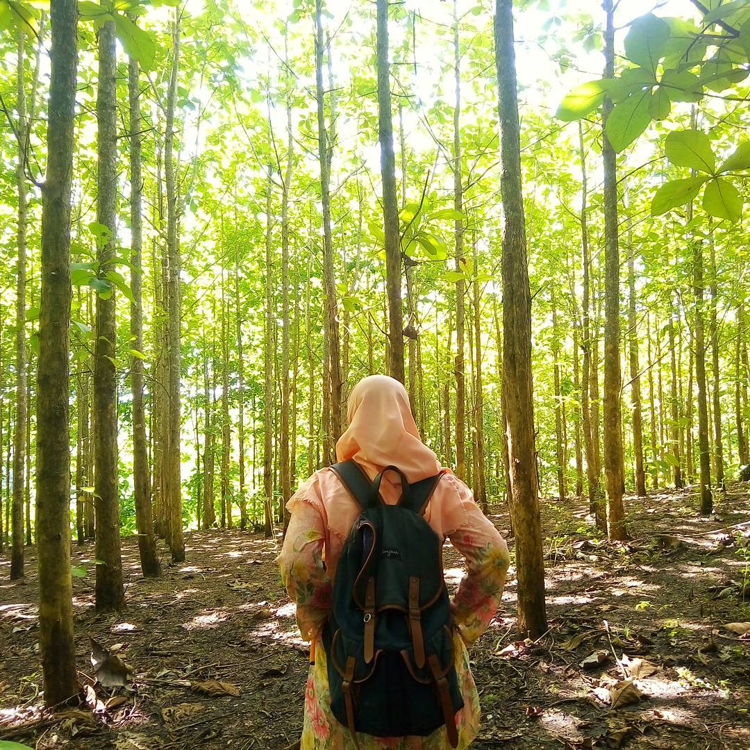 Photo : <a href="/qonita/">Nitha??????</a>.jpeg
Bag : Jean Series