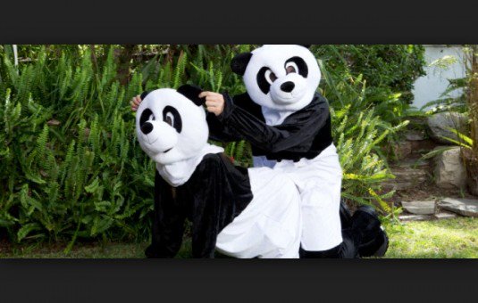 Panda porno